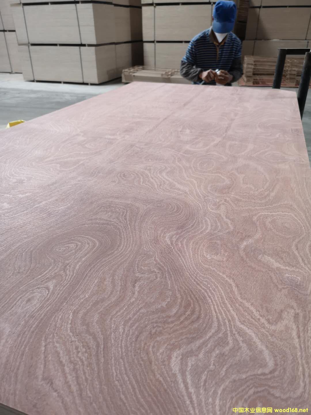 板材的詳細介紹