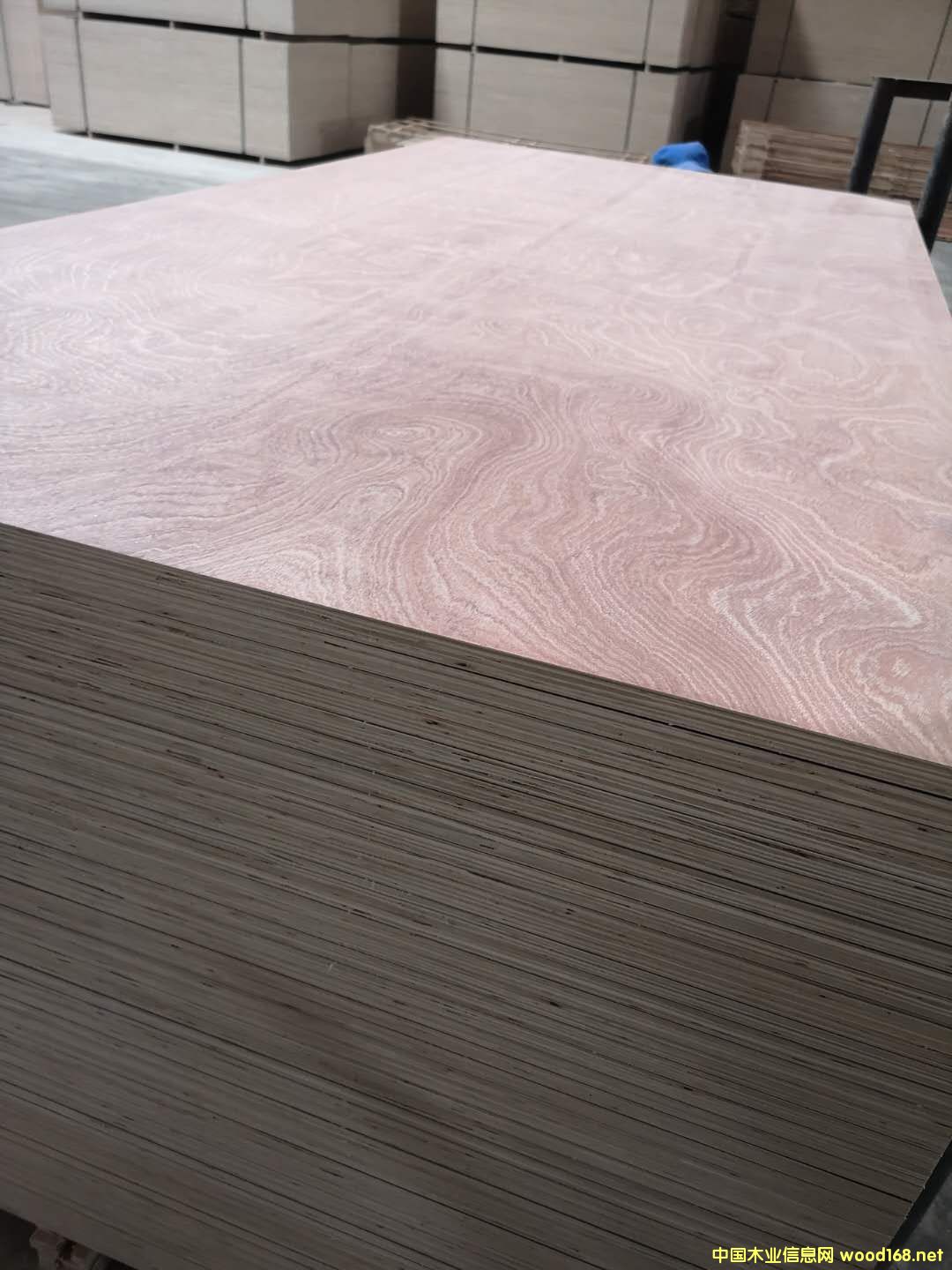 板材的詳細介紹