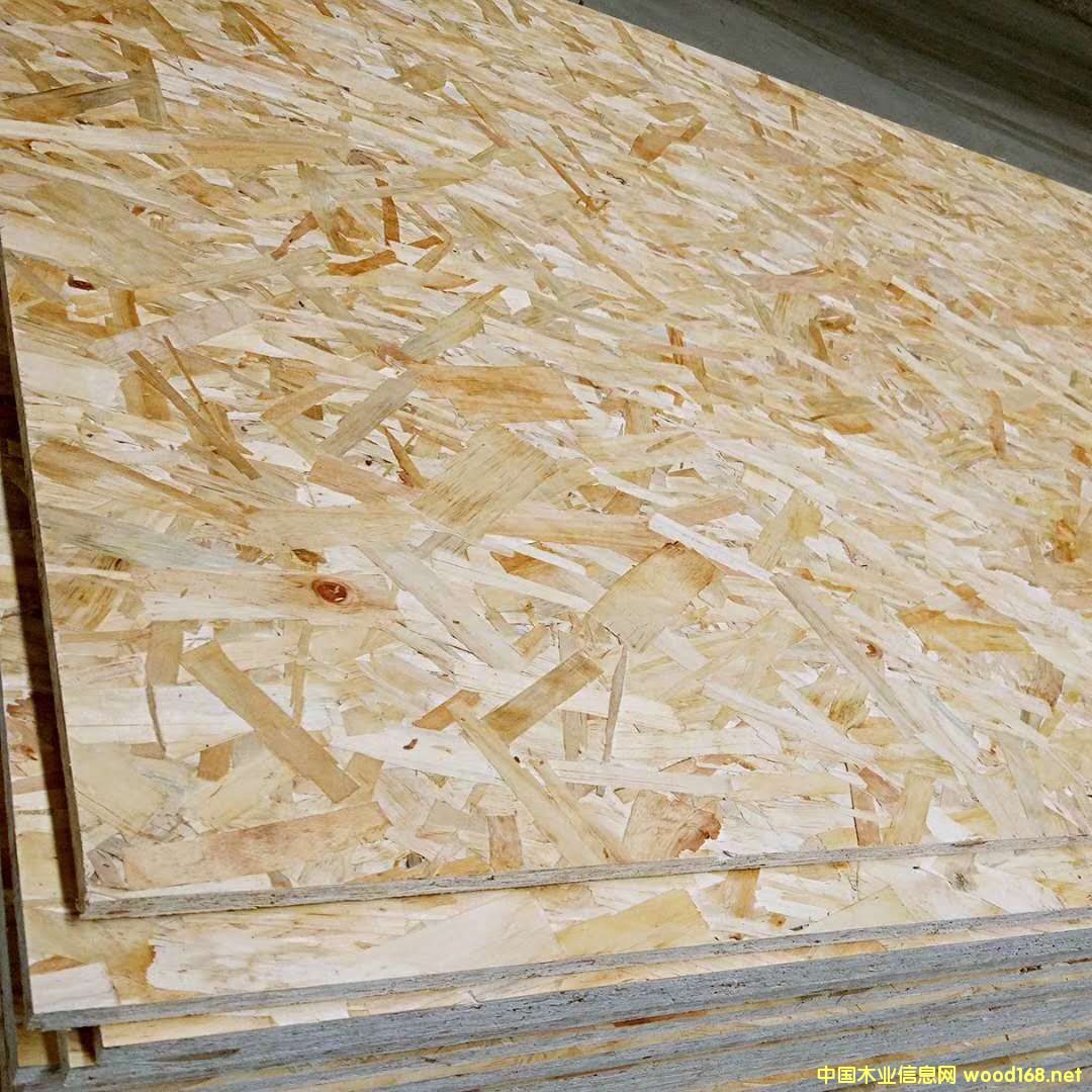 ��ǧ����OSB�W�ɰ�