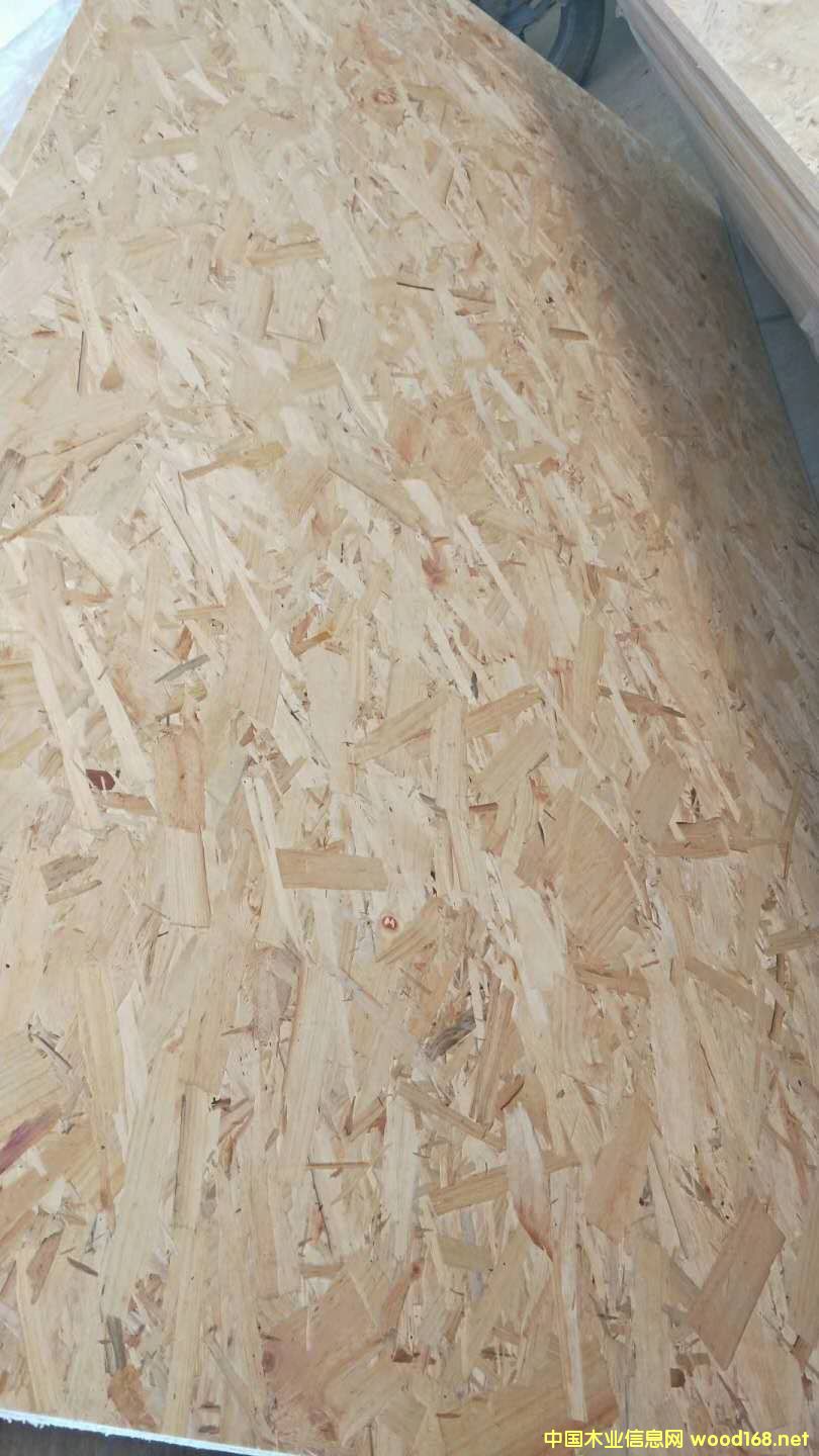 ɽ�|��ǧ���ĵ�Ԕ��(x��)��B