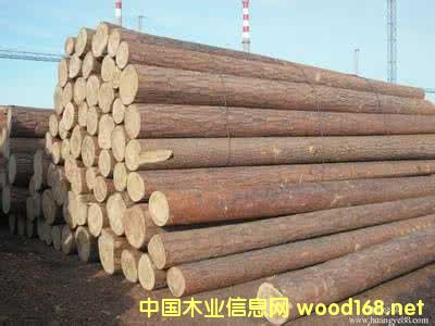 �����M(j��n)���Fɼԭľ