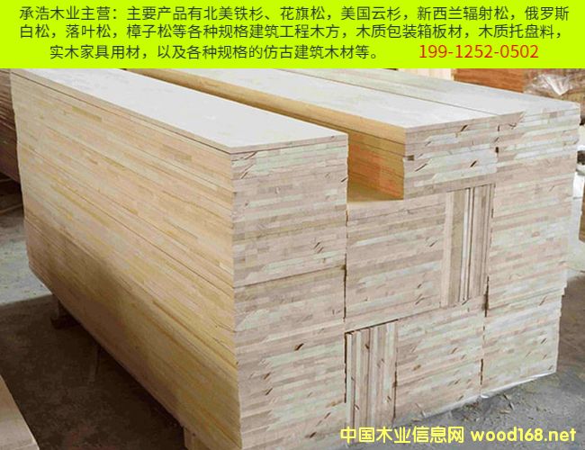 ����  ����ľ�� ����ľ��