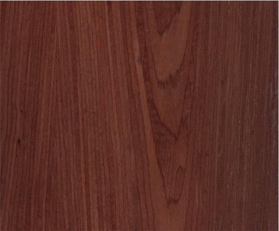 ������֮ï��t����ľ����