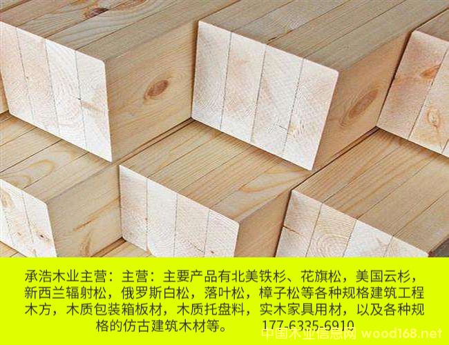 ����ľ��