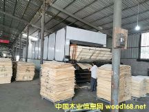 ľƤ��əC(j��)