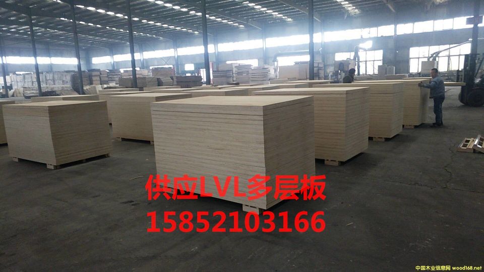 [��] ����(y��ng)�T��Ķ���ľ��