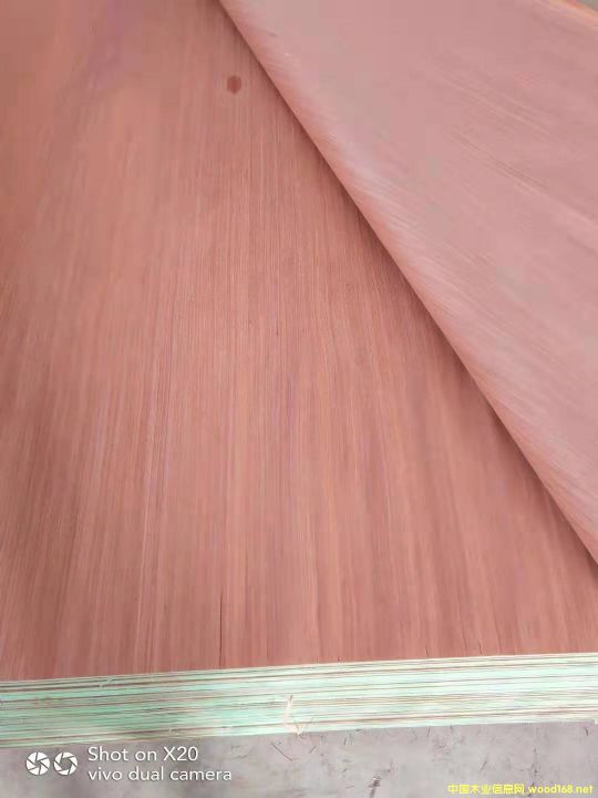 的詳細(xì)介紹