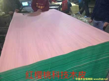 的詳細(xì)介紹