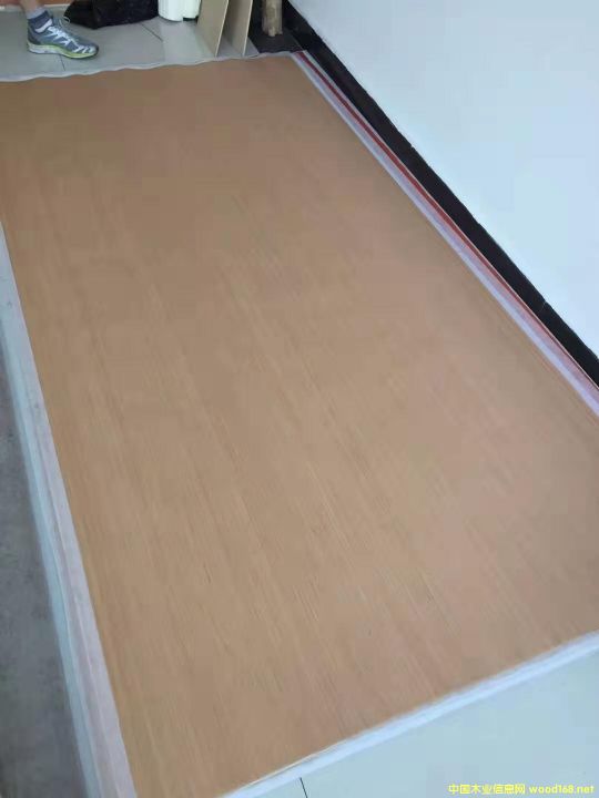 的詳細(xì)介紹