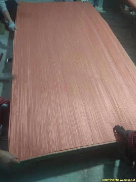 的詳細(xì)介紹