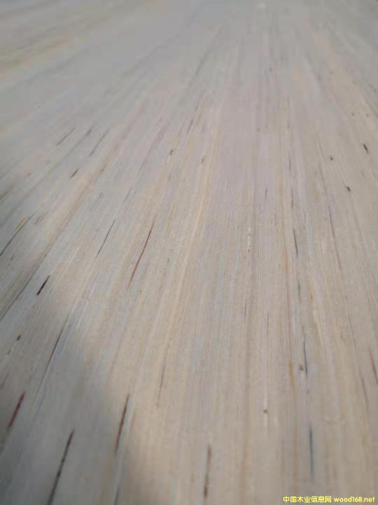 的詳細(xì)介紹