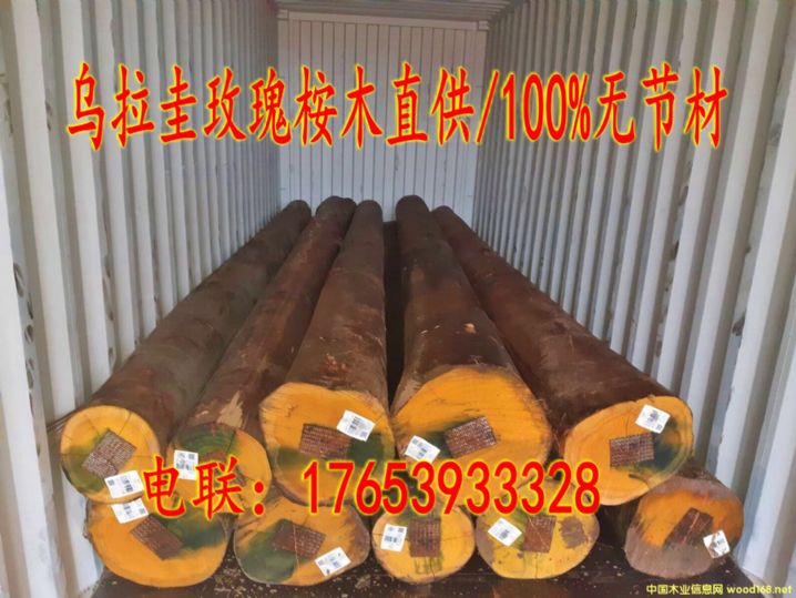 �M(j��n)�ڞ�������ľԭľ/�o(w��)�Y(ji��)��(ji��)��Ԕ��(x��)��B