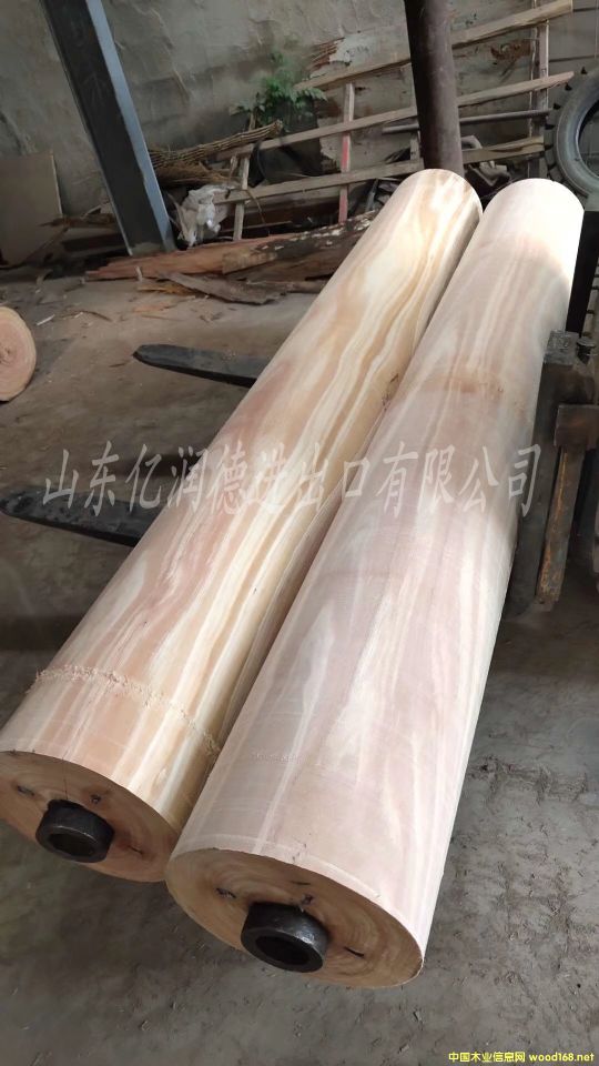 ��(gu��)���M(j��n)����֦��õ����ľԭľ��Ԕ��(x��)��B