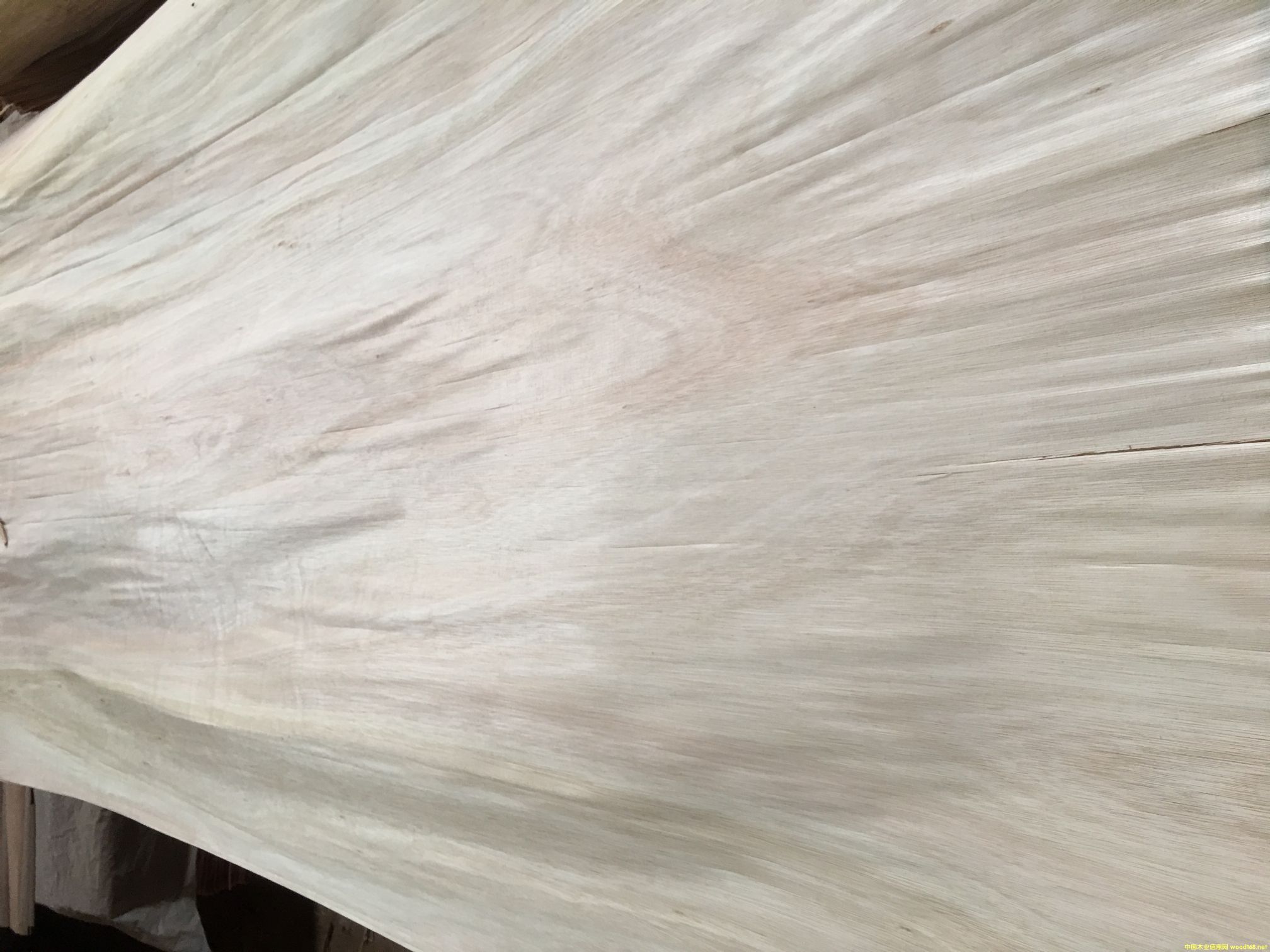 ��������ľ���a(ch��n)��Ƥ�������ʸߵ�Ԕ��(x��)��B