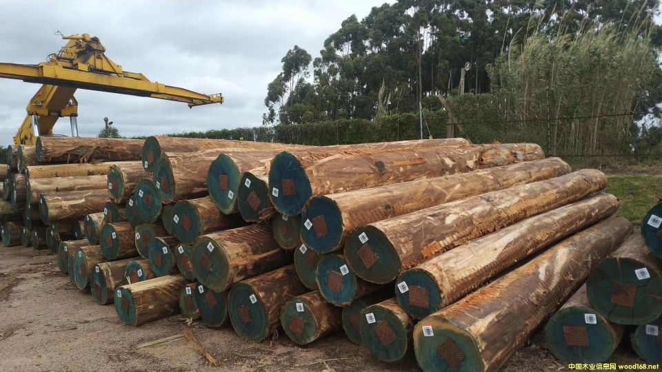 ��������ľ��Ԕ��(x��)��B