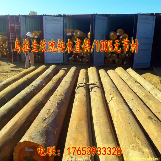 ���N(xi��o)��������ľԭľ��Ԕ��(x��)��B