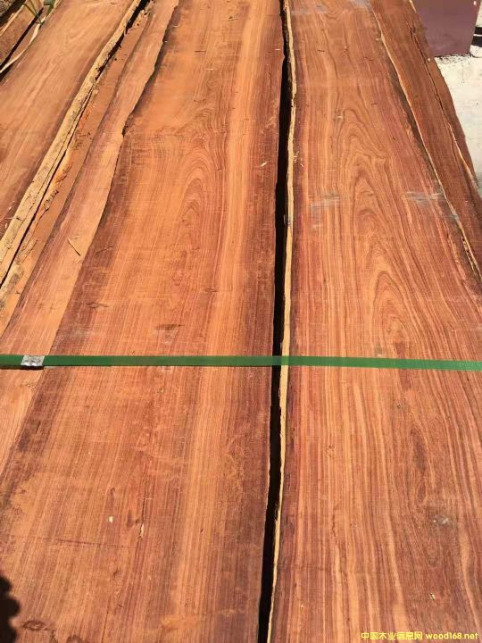 С�~�t̴���R�_(d��)��˹���Fľ����