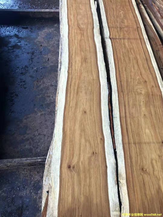 ��������̴