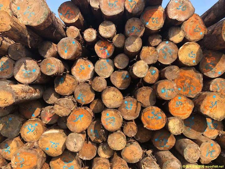 [��] �W����ɼԭľ��؛