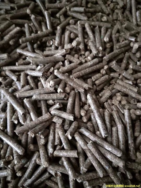 �����|�w����Ԕ����B