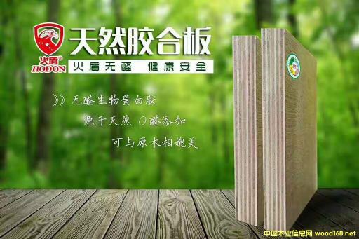 �o(w��)ȩ���ӼҾ߰��Ԕ��(x��)��B