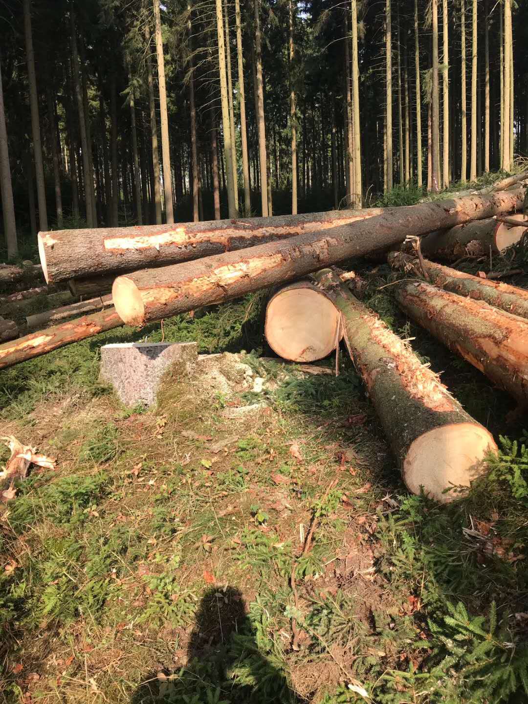 [��] �W�޵�������ɼԭľ��؛