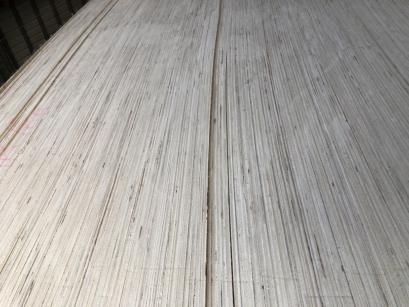 [��] ��������(y��ng)�Ҿ������ϰ�