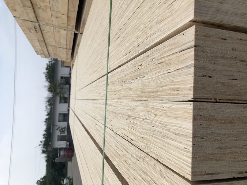 ��ľLVL ��Ԕ����B