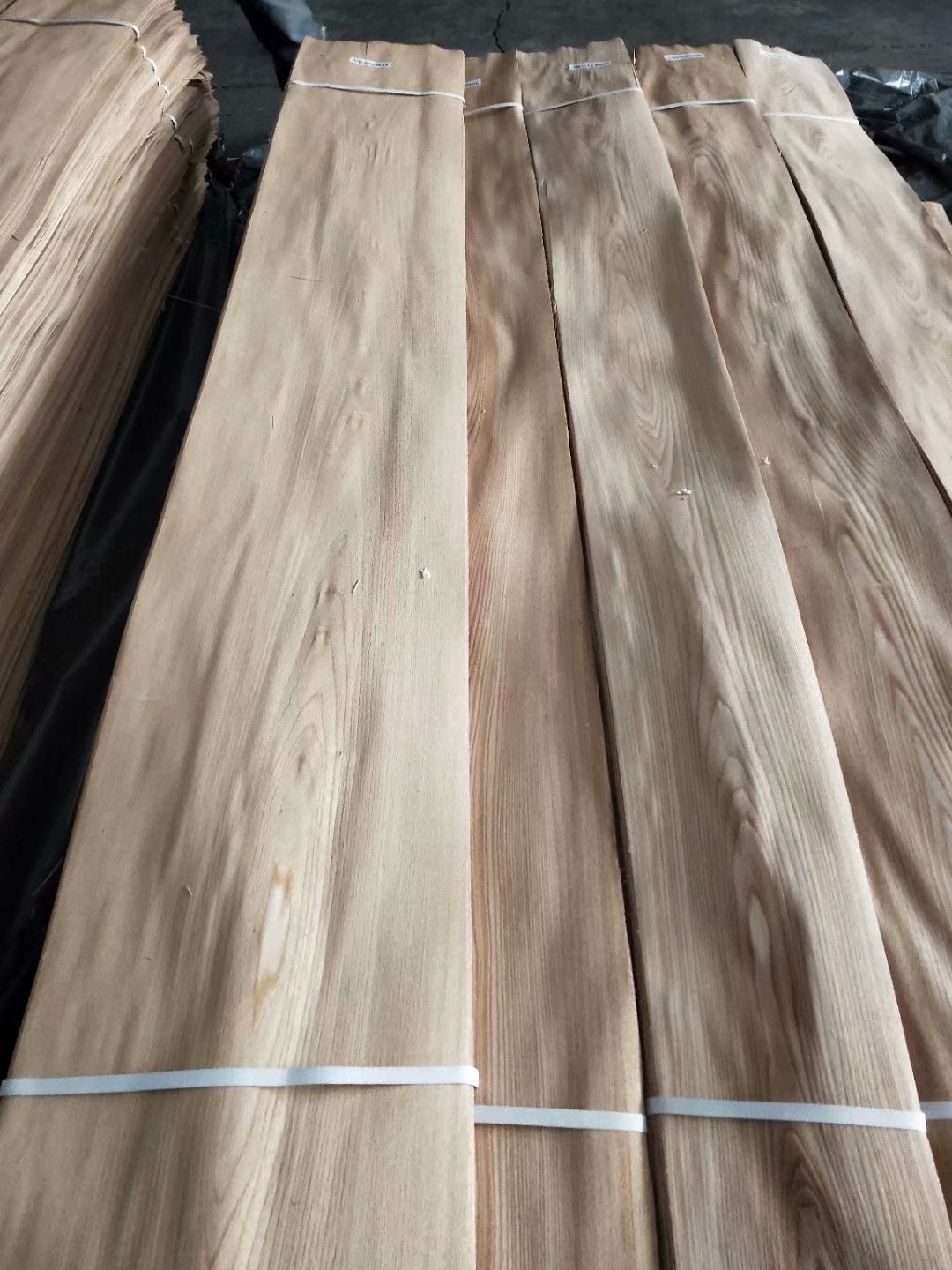 [��] 50�z��Ȼ��ľɽ�yľƤ