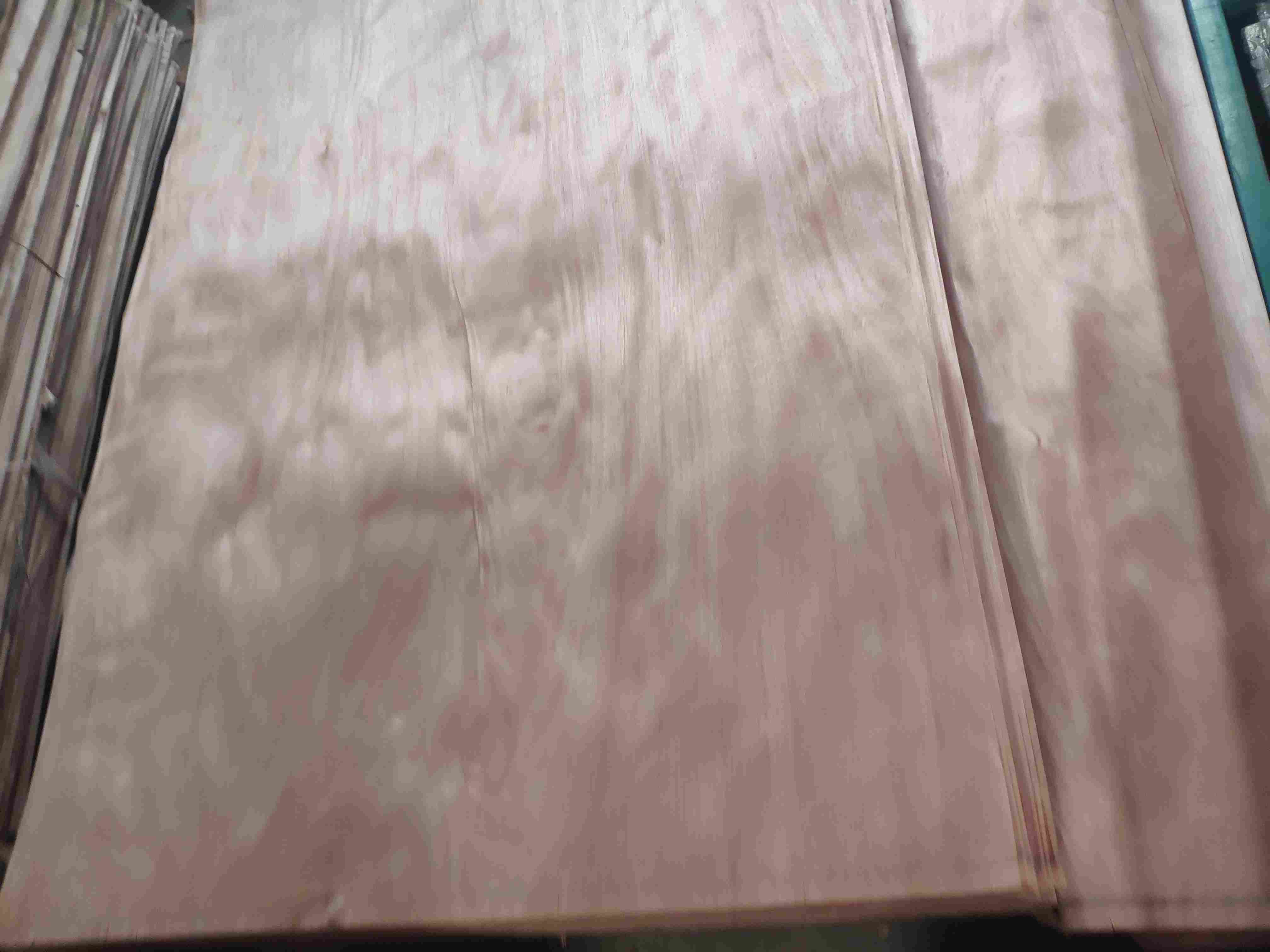 �W�����һ�о�ΰ���Ƥ