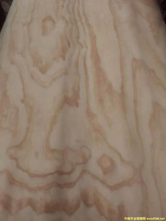  ݗ���ɵ�Ԕ����B