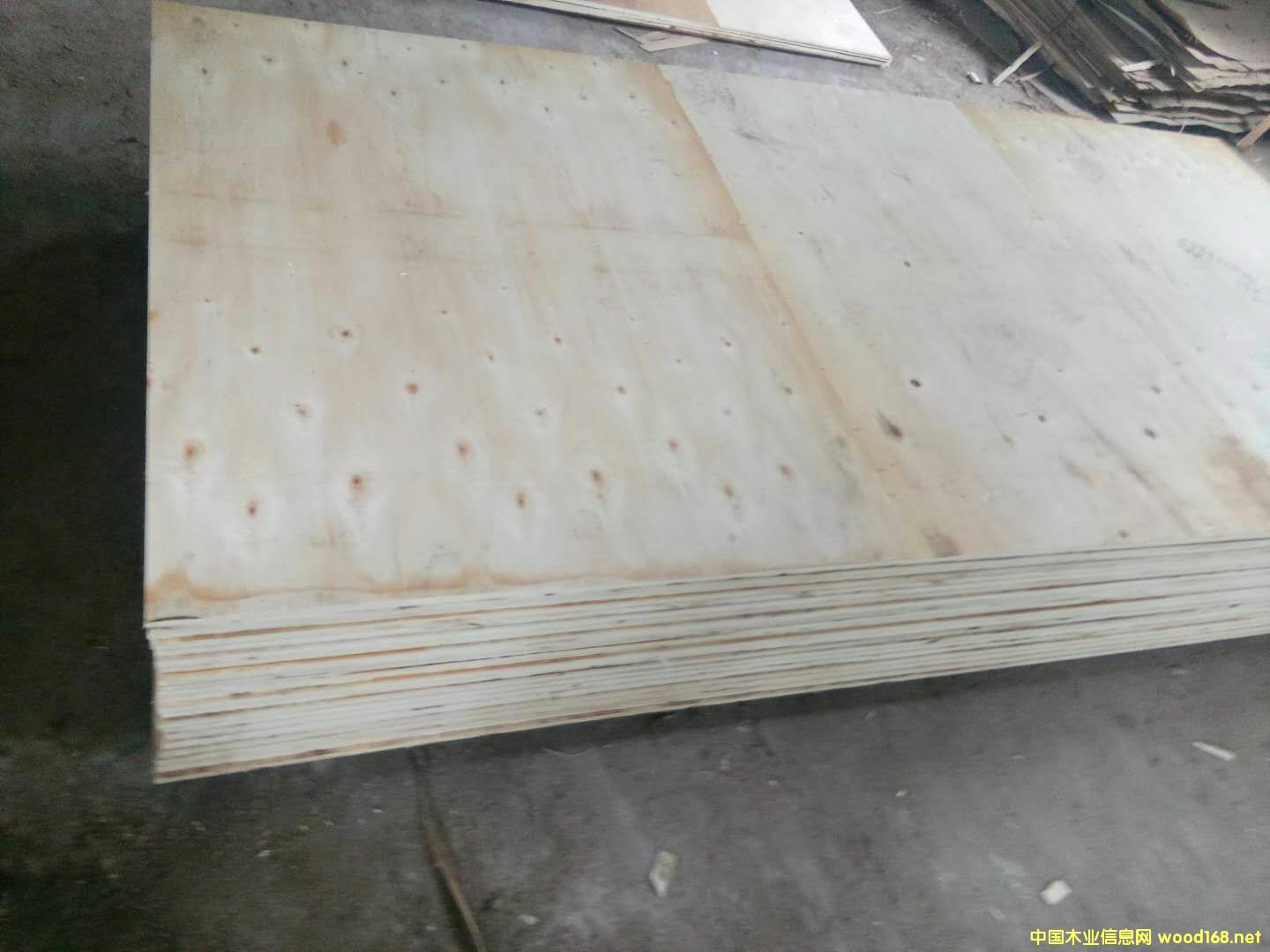 [��] ��ľ��оо��