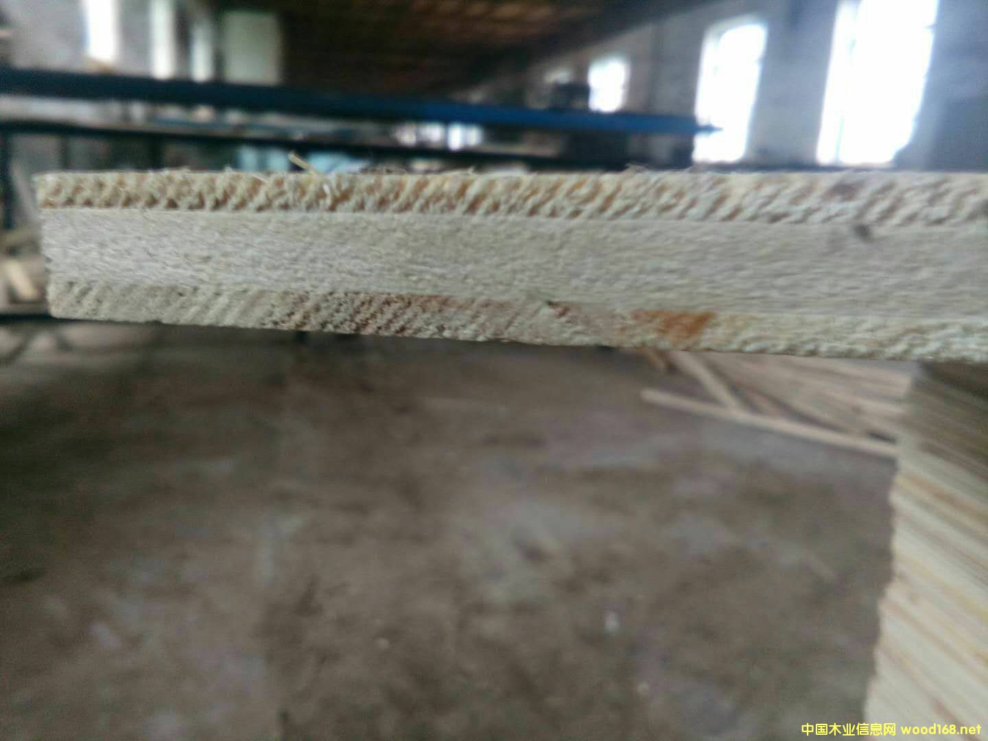 [��] ����ľ��о