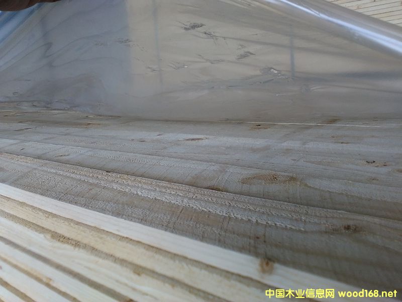 ARAUCO�Ҿ߼���Ԕ��(x��)��B