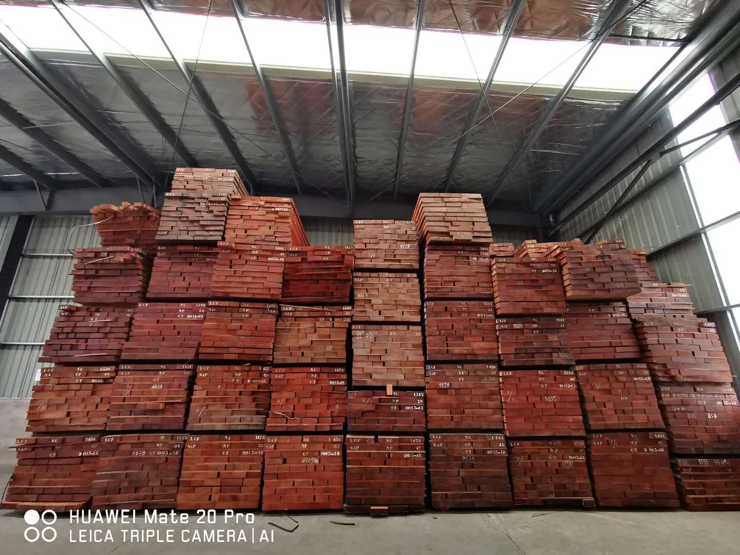 [��] ɳ����7���ַ�����