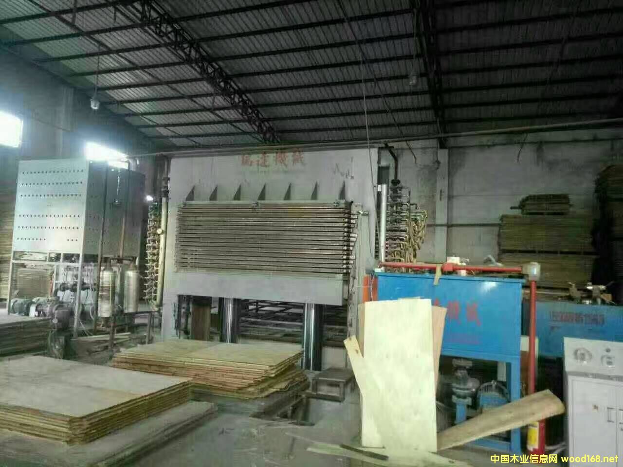 10�����B(t��i)���N��ቺ�C(j��)