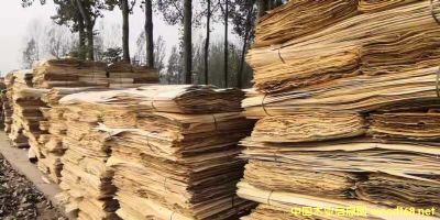 ȫ��ľ�ΰ��Ԕ��(x��)��B