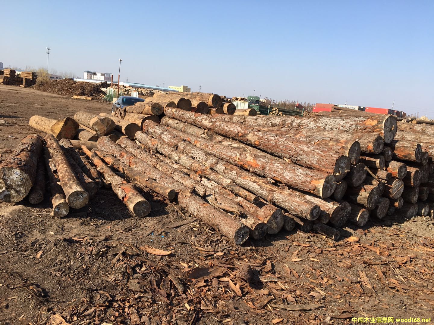 �������ձ���ԭľ��Ԕ����B