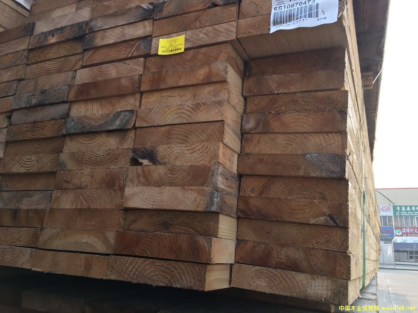 �Fɼ���50*254��Ԕ����B