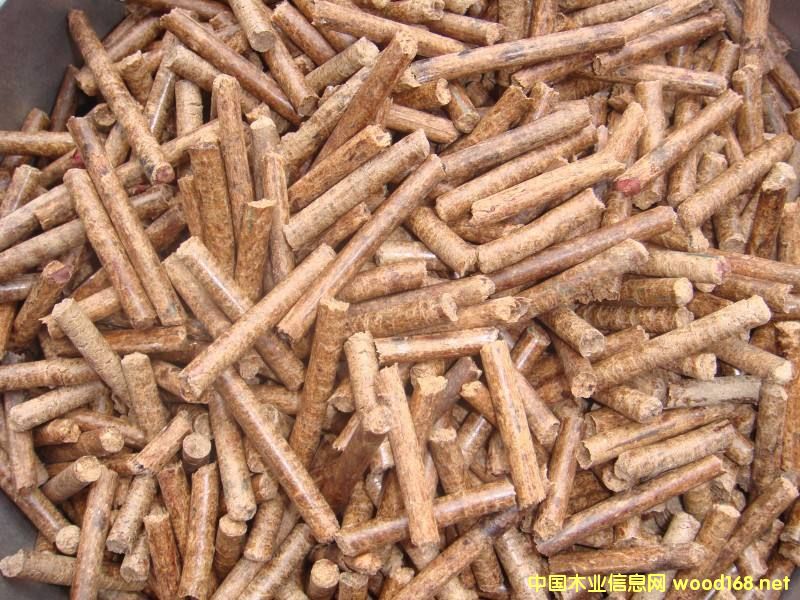 �����������|(zh��)�w��