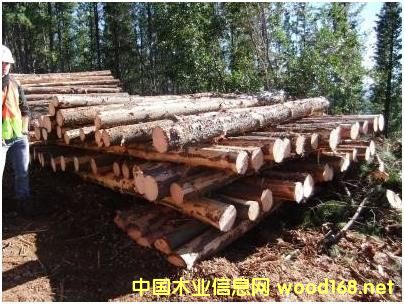 ݗ����ԭľ��Ԕ��(x��)��B