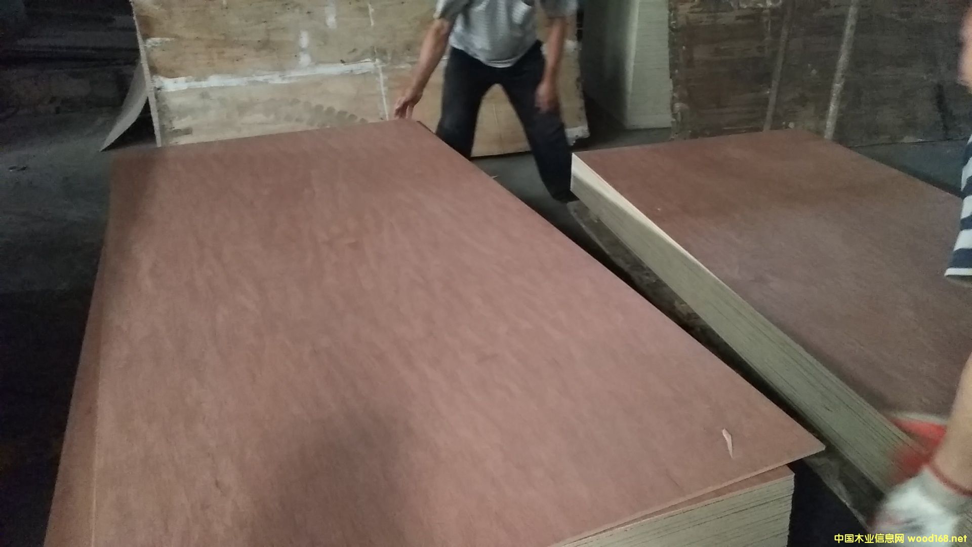 楊雜板的詳細(xì)介紹