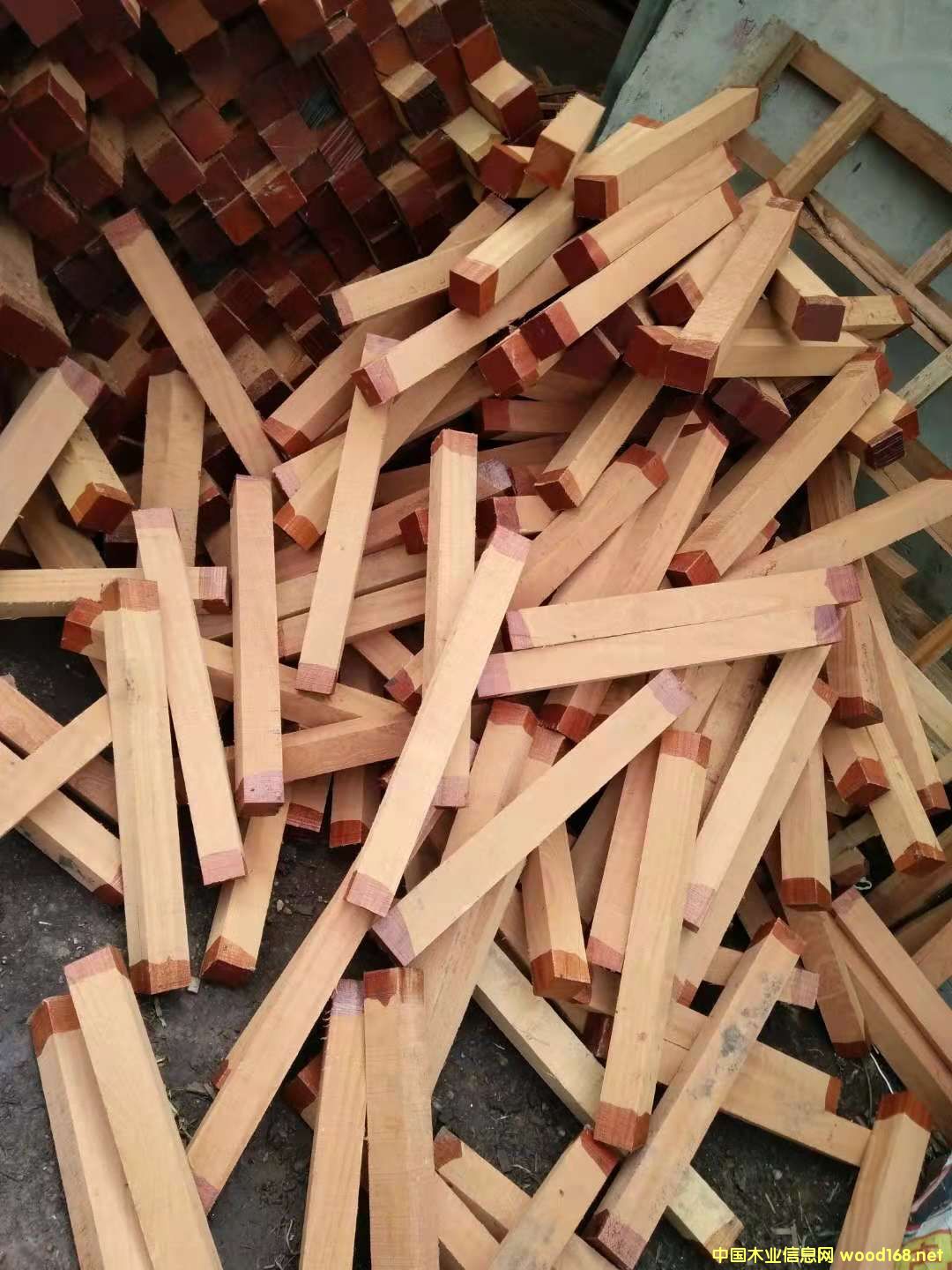 ɳ���������ϵ�Ԕ��(x��)��B