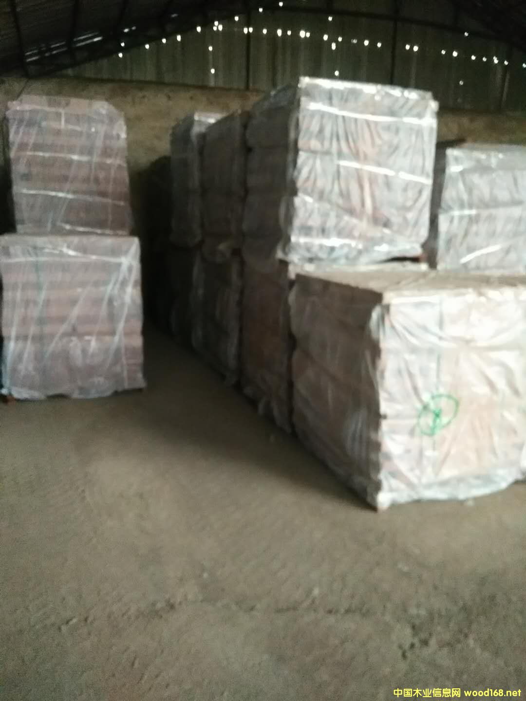 ɳ����������