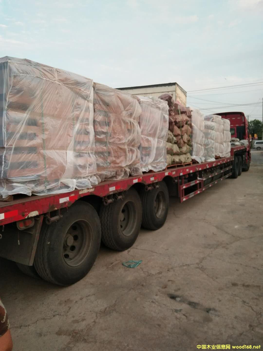 ɳ����������