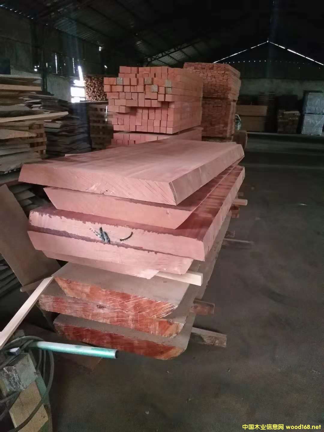 ɳ����������