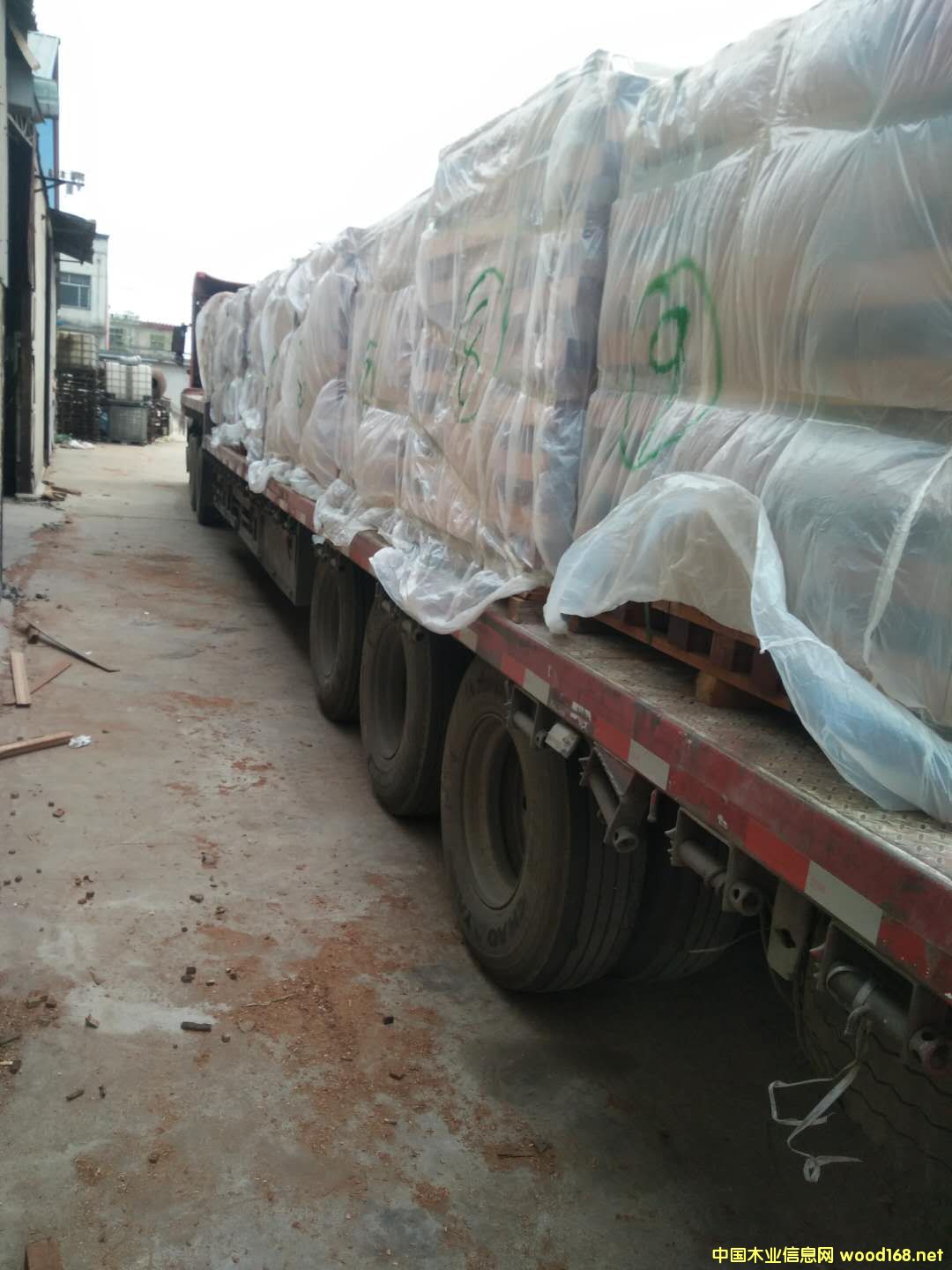   ɳ����������