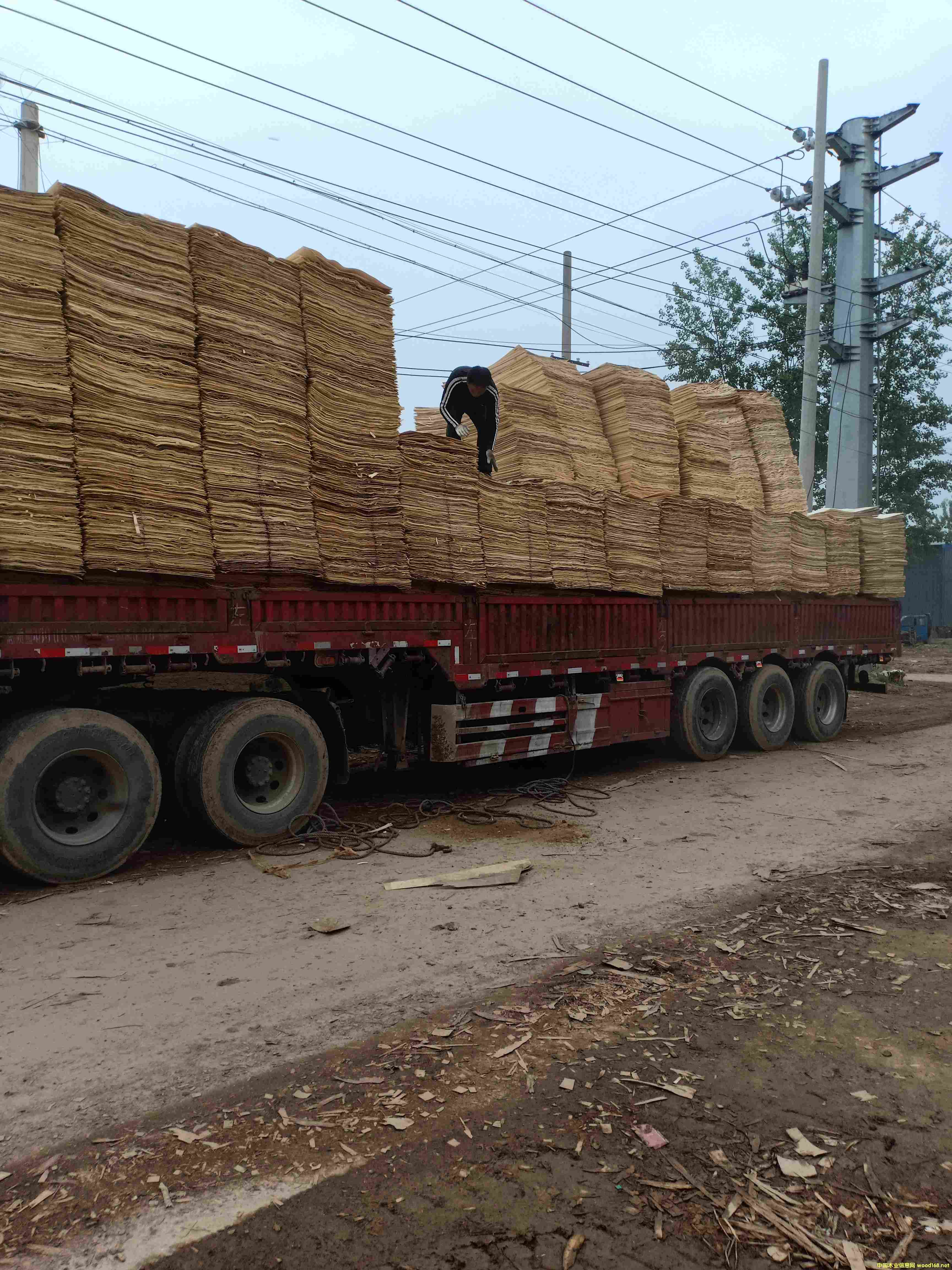 ��ƴ���Ԕ��(x��)��B