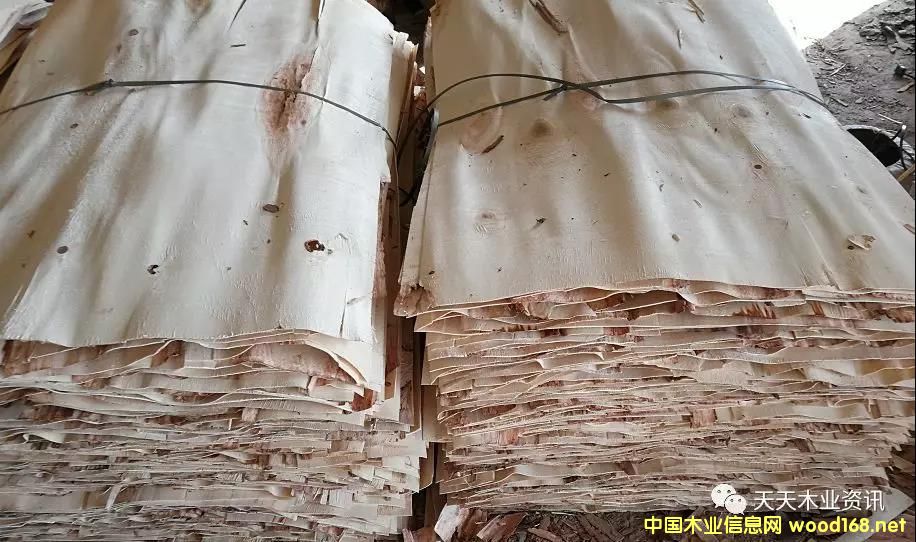 ��ľƤ�ӵ�Ԕ��(x��)��B