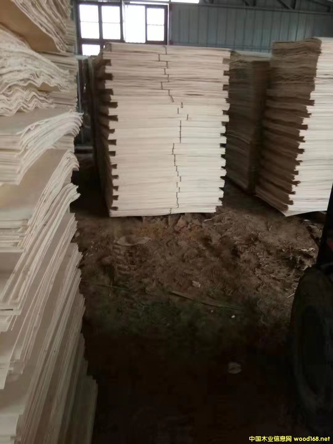 ��ľƤ��Ԕ��(x��)��B